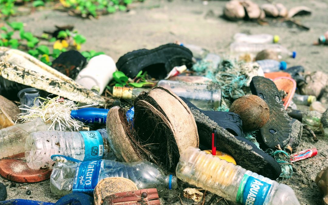 Episode 555: Recycling